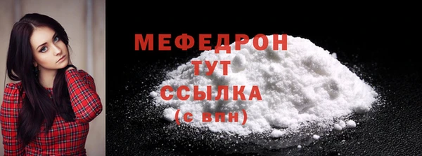 шишки Магас