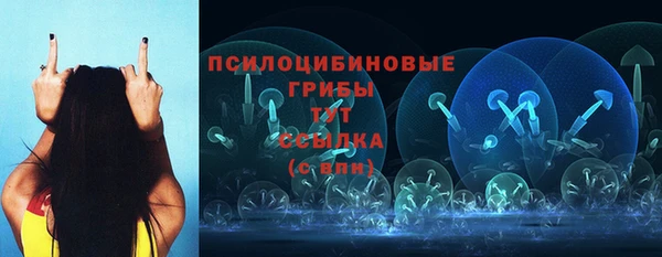 трава Магадан