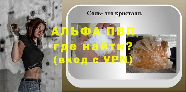 шишки Магас