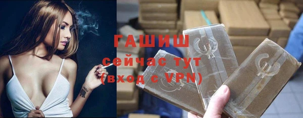 шишки Магас