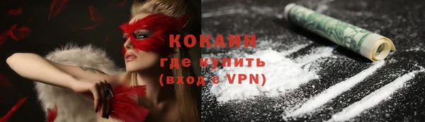 шишки Магас
