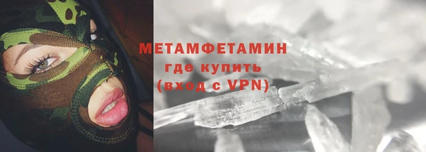 шишки Магас