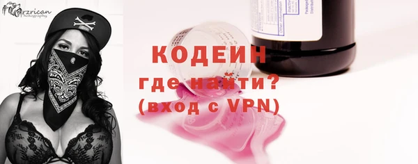 шишки Магас