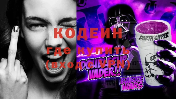 шишки Магас