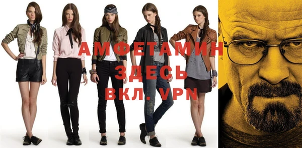 шишки Магас
