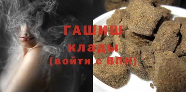 шишки Магас