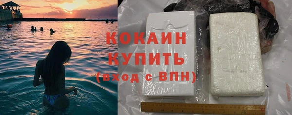 шишки Магас