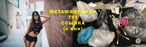 шишки Магас
